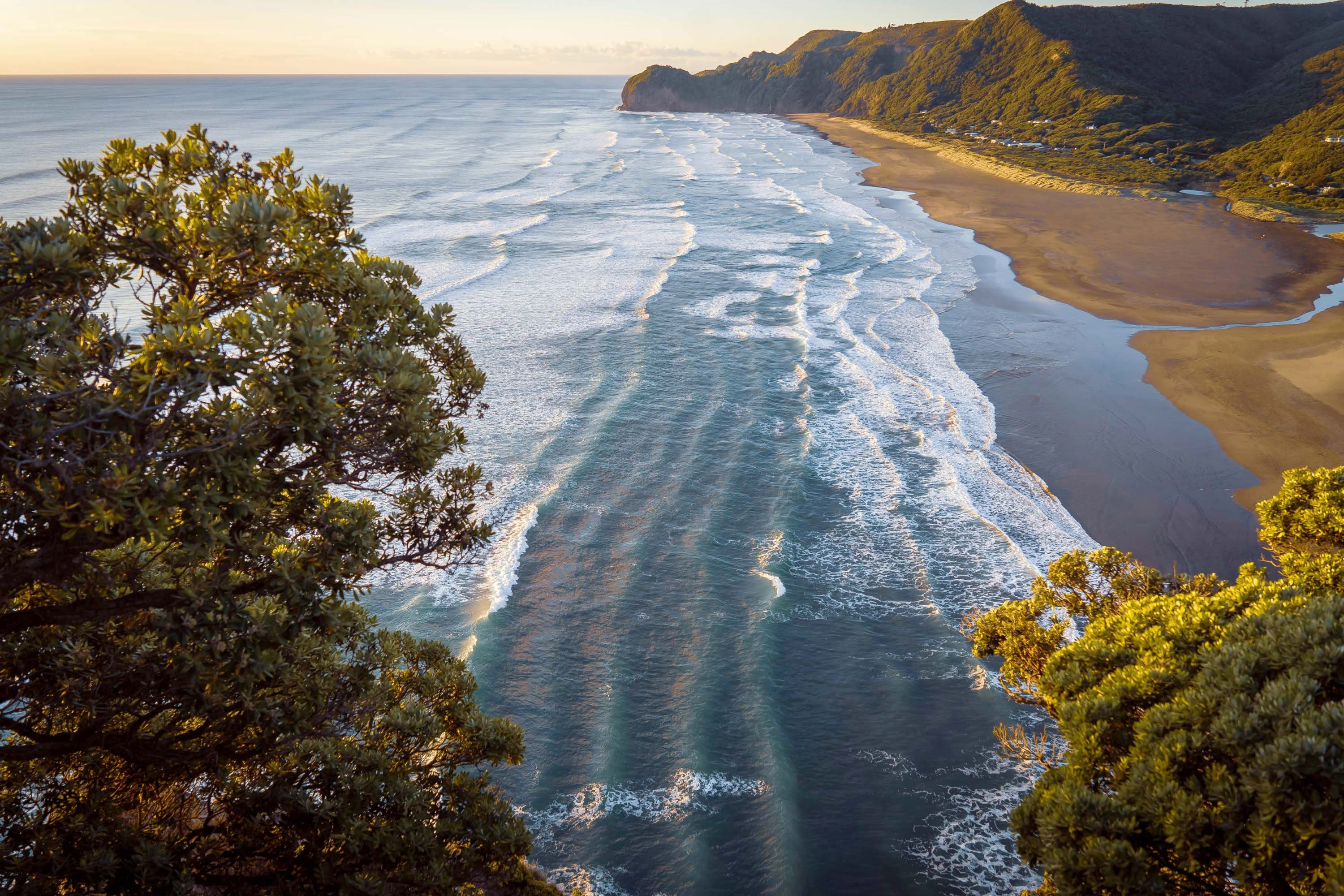 A beach with lush surroundings close to Auckland in New Zealand.