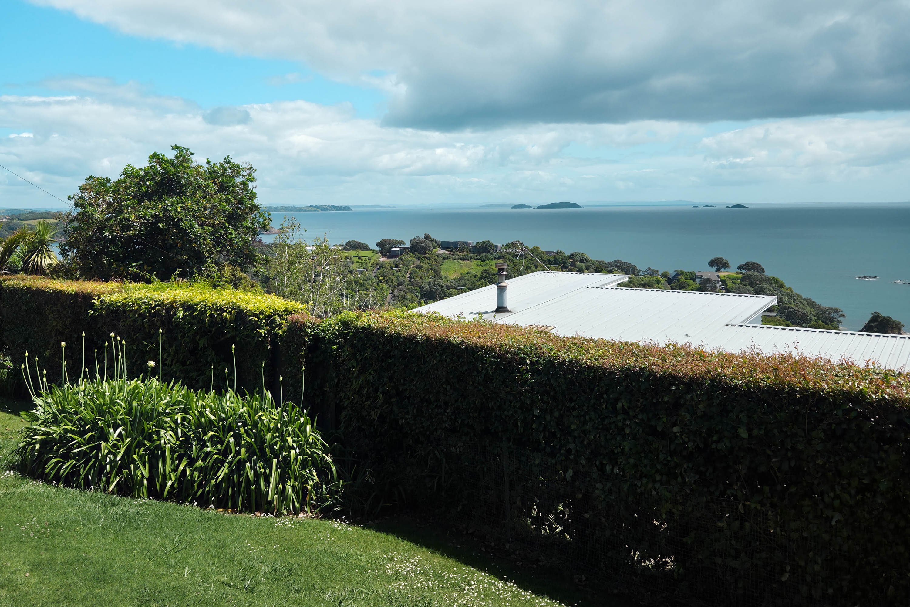 The view from a garden over rooftops and the New Zealand ocean.